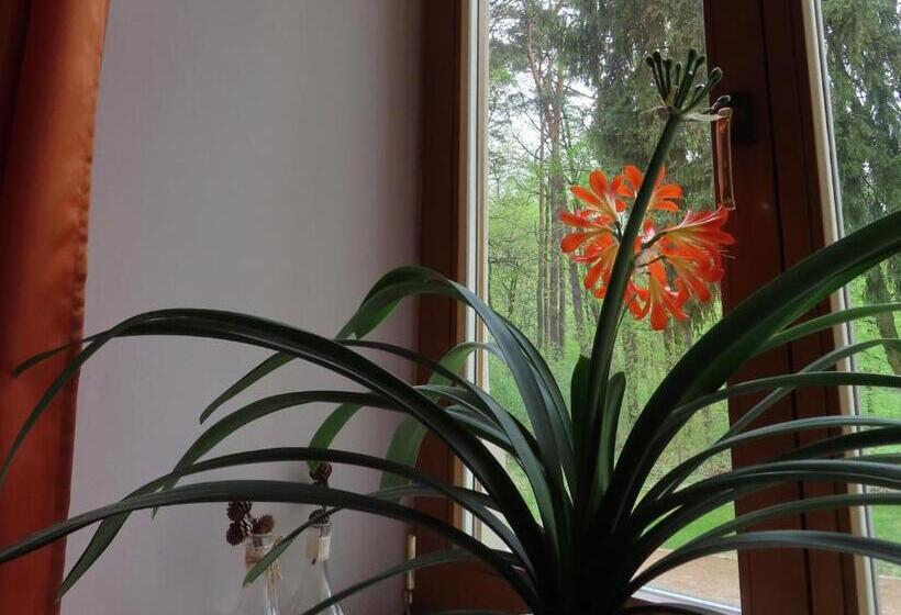 پانسیون Dobry Zakątek Dom Rekolekcyjny