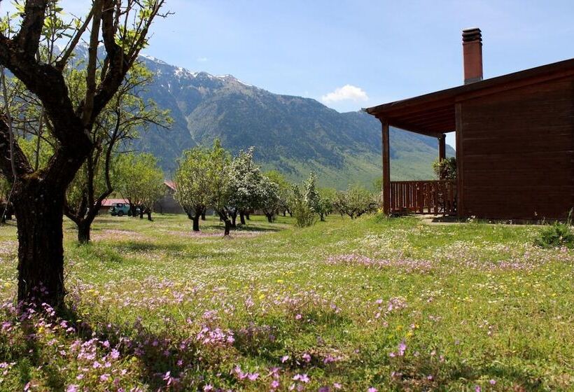 פנסיון Villa Rustica