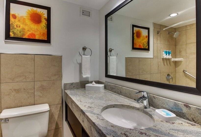 ホテル Drury Inn & Suites Poplar Bluff
