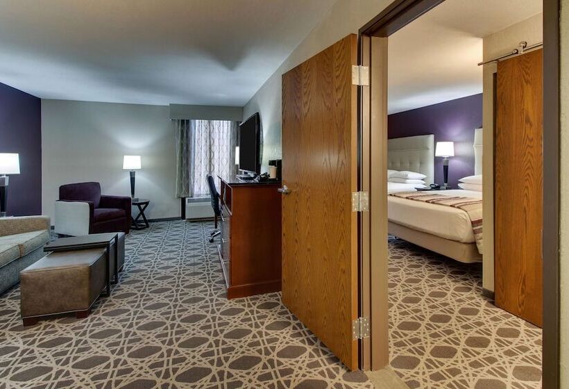 ホテル Drury Inn & Suites Poplar Bluff