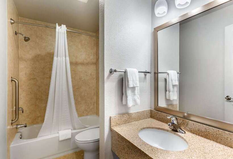 Отель Econo Lodge Socorro