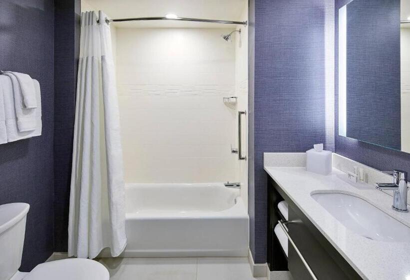 בית מלון כפרי Residence Inn By Marriott Albany Airport