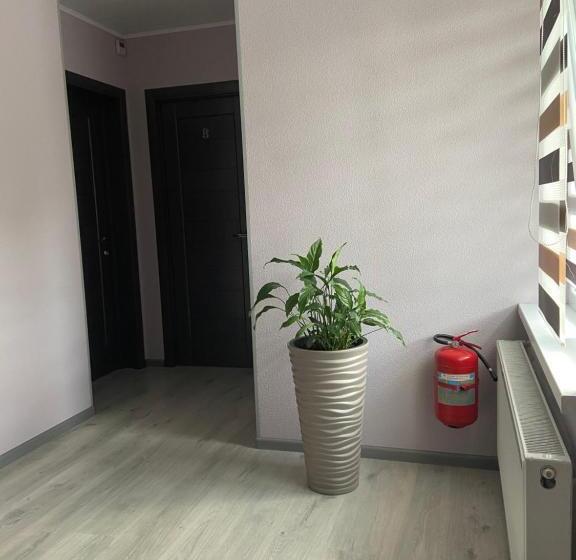 بنسيون Guest House Max
