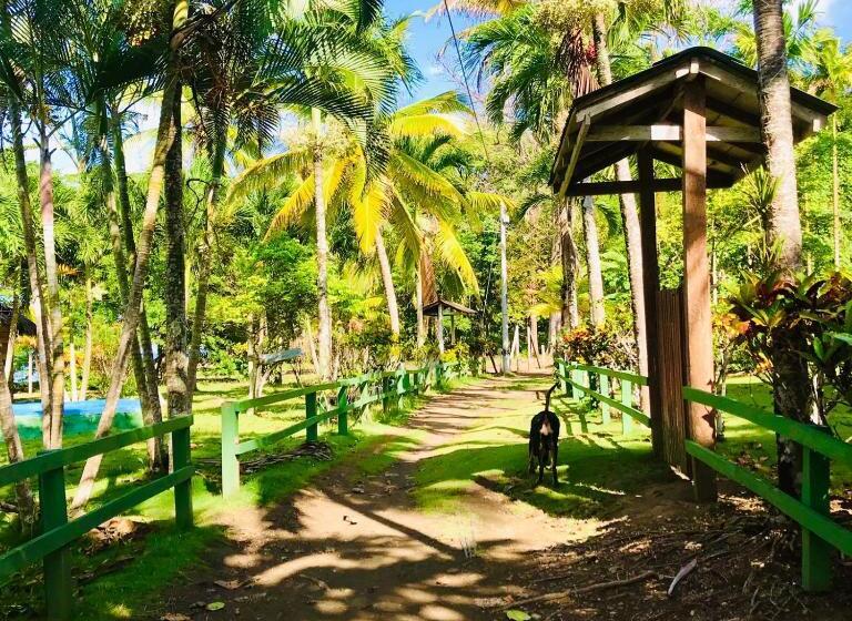 هاستل Hostal Doble Vista