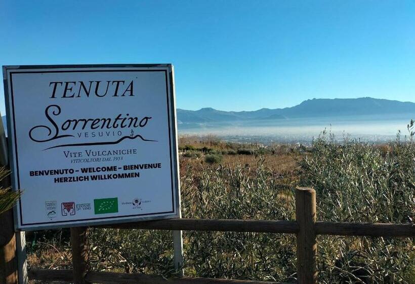 リゾートホテル Vesuvio Inn Bed & Wine Experience
