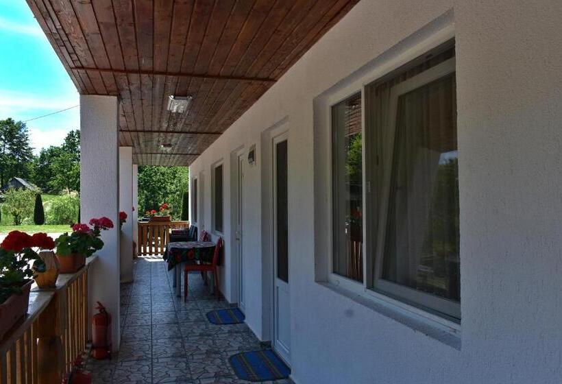 بنسيون Casa Papițu
