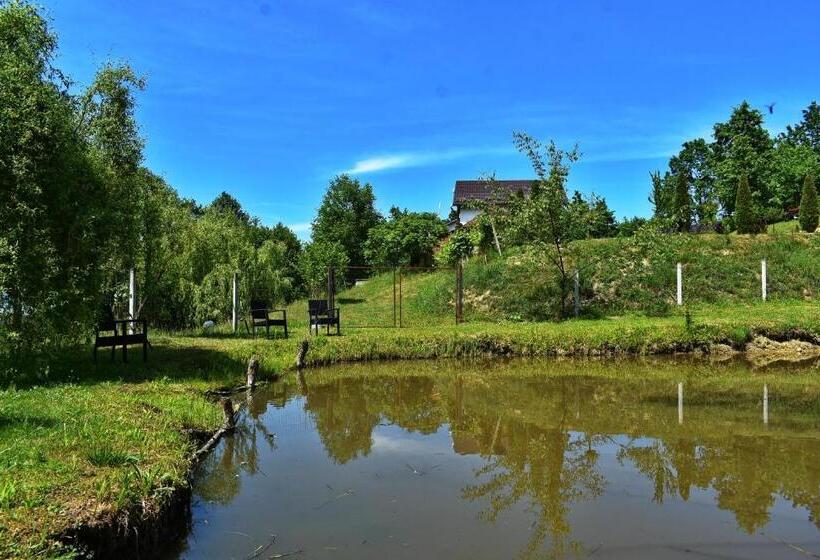 بنسيون Casa Papițu