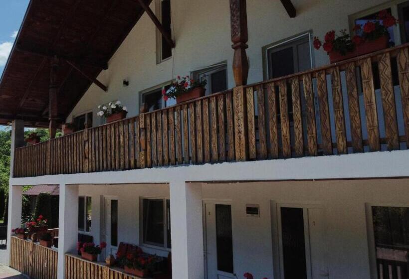 بنسيون Casa Papițu