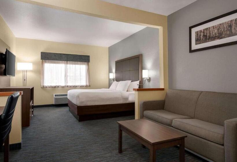 هتل Wingate By Wyndham Appleton