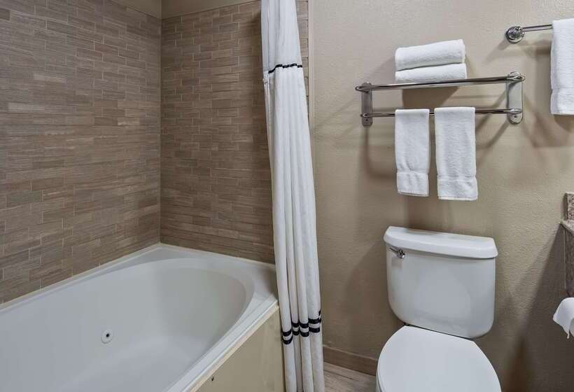 فندق Best Western Plus Lubbock Windsor Inn