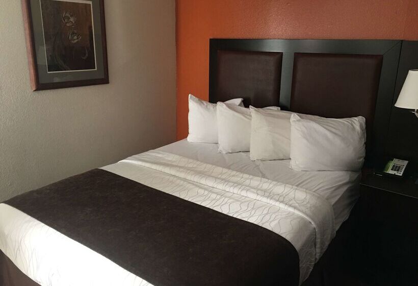 فندق Best Western Plus Lubbock Windsor Inn