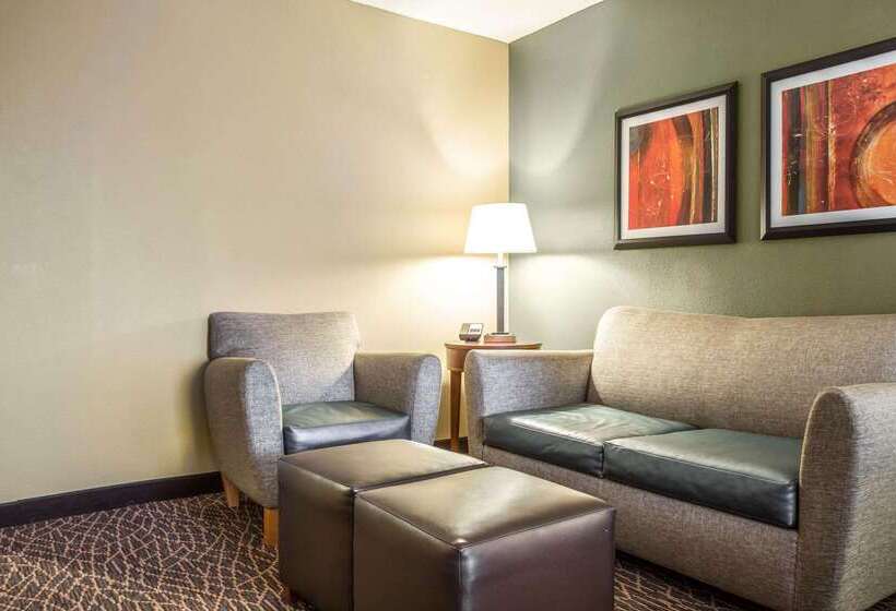 ホテル Comfort Inn & Suites Kannapolis   Concord
