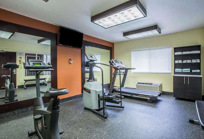 ホテル Comfort Inn & Suites Kannapolis   Concord
