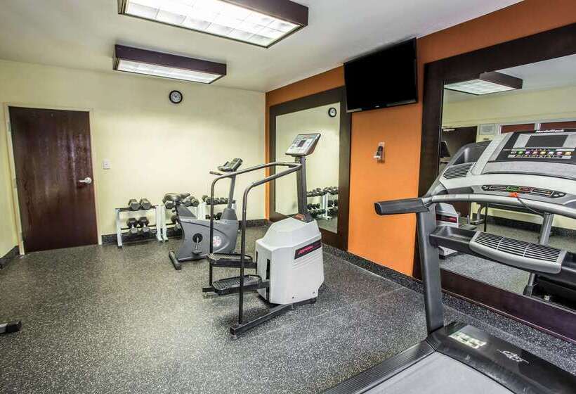 ホテル Comfort Inn & Suites Kannapolis   Concord