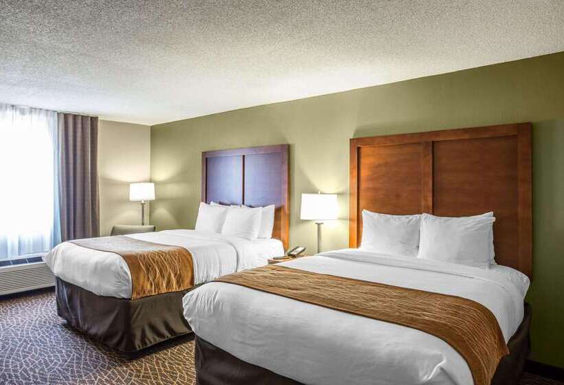 ホテル Comfort Inn & Suites Kannapolis   Concord