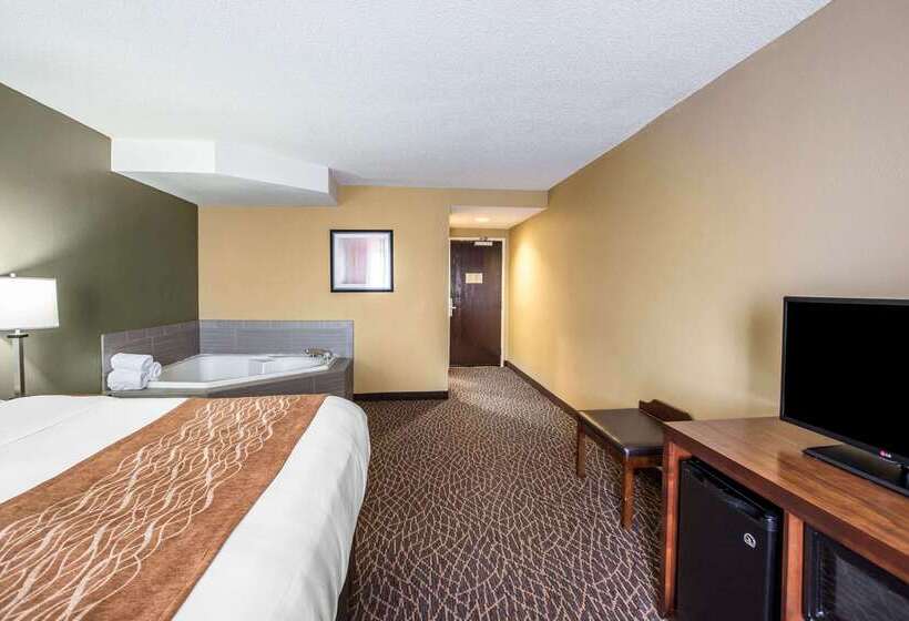ホテル Comfort Inn & Suites Kannapolis   Concord