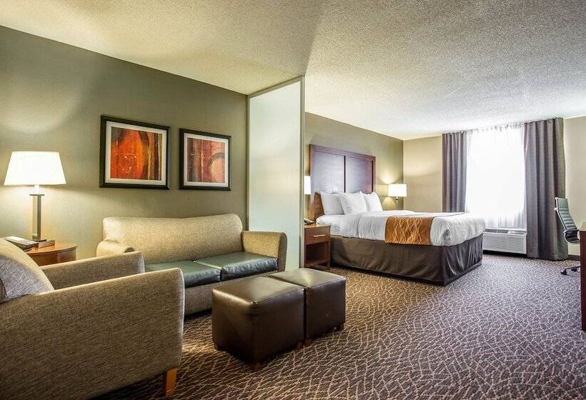ホテル Comfort Inn & Suites Kannapolis   Concord