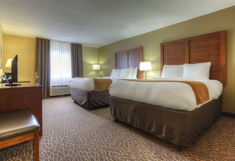 ホテル Comfort Inn & Suites Kannapolis   Concord