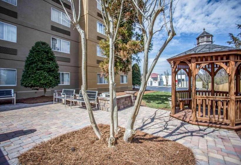 ホテル Comfort Inn & Suites Kannapolis   Concord
