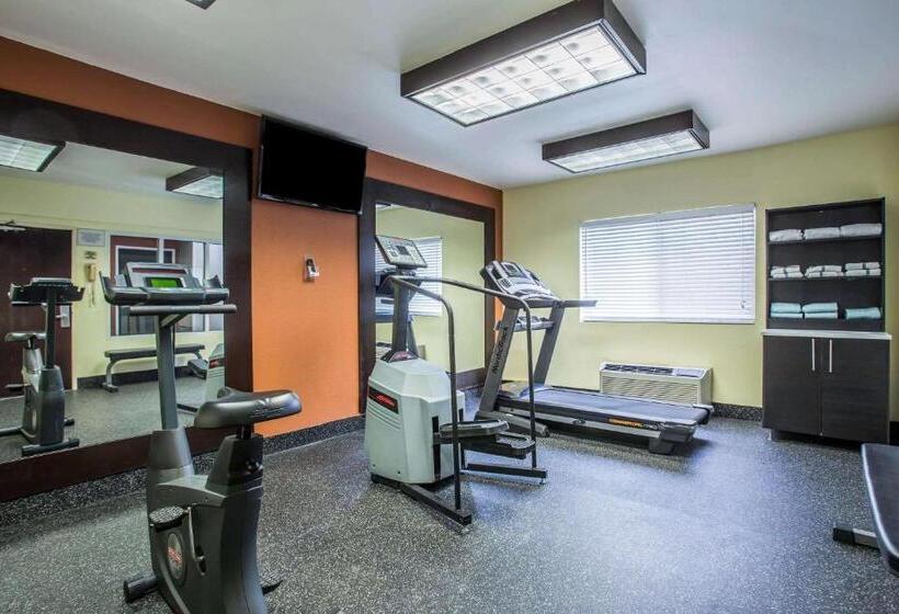 ホテル Comfort Inn & Suites Kannapolis   Concord