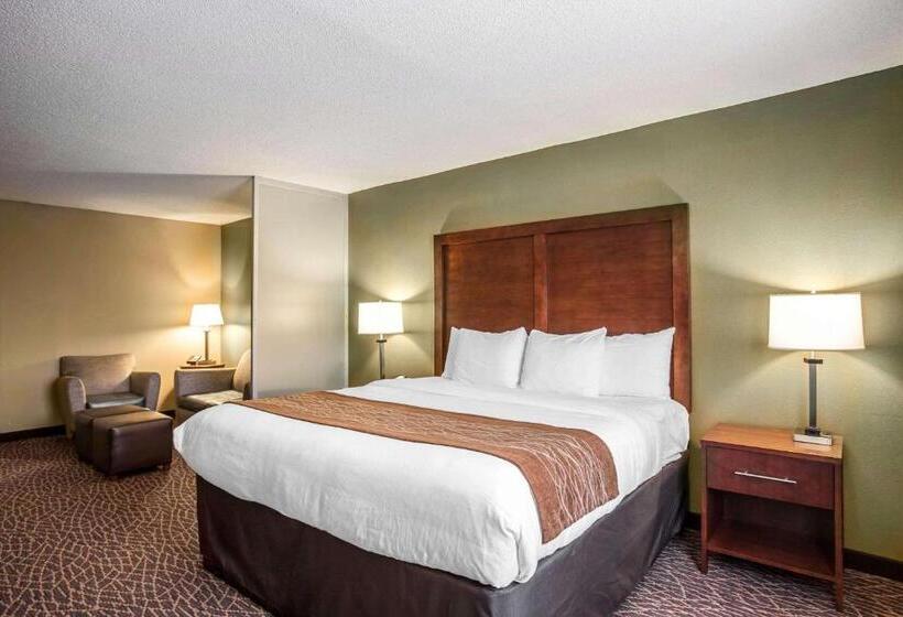 ホテル Comfort Inn & Suites Kannapolis   Concord
