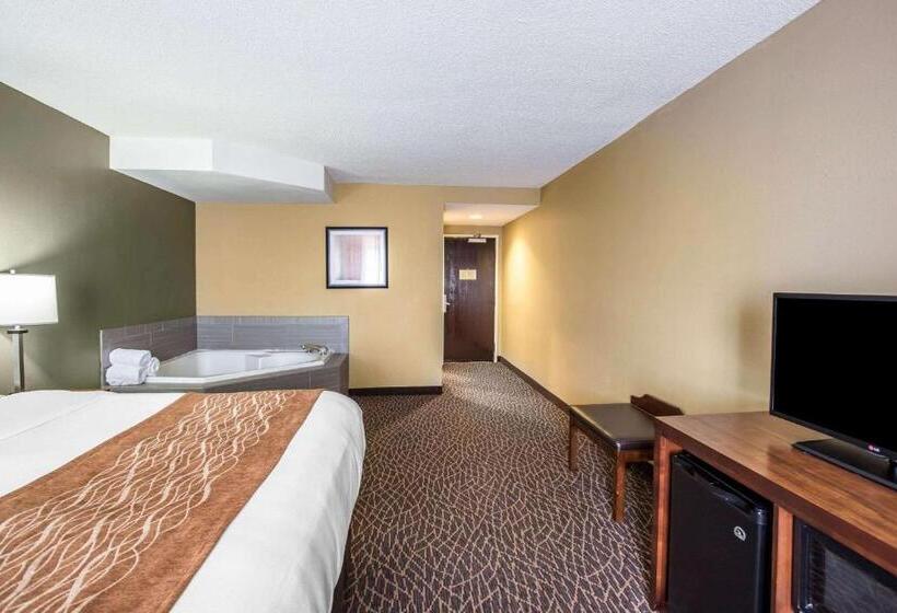 ホテル Comfort Inn & Suites Kannapolis   Concord