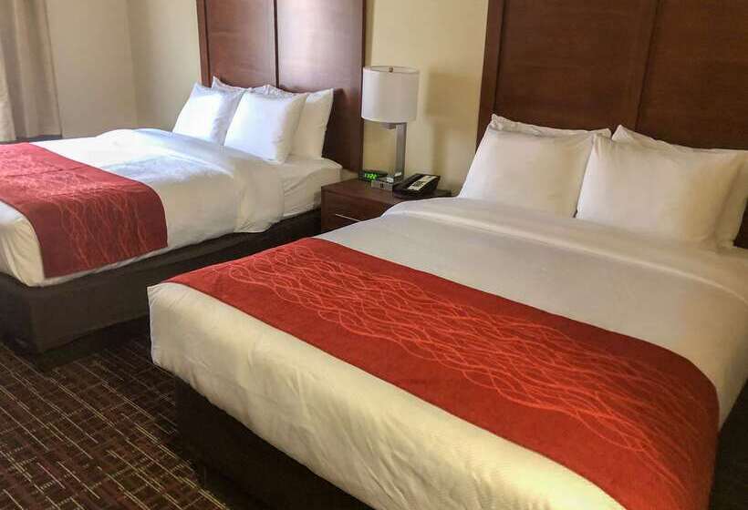 酒店 Comfort Inn Wichita Falls Near University