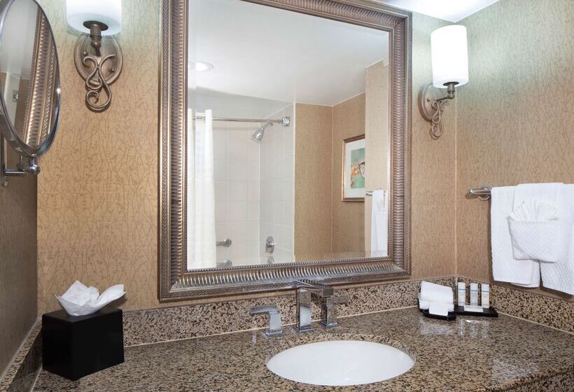 هتل Embassy Suites By Hilton Dallas Near The Galleria