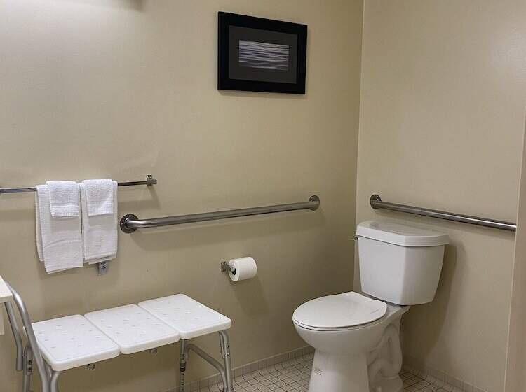 בית מלון כפרי Suburban Studios Auburn Hills   Detroit