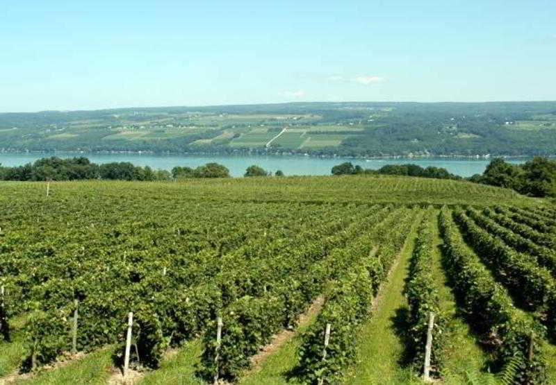 호텔 Fairfield Inn Roseville