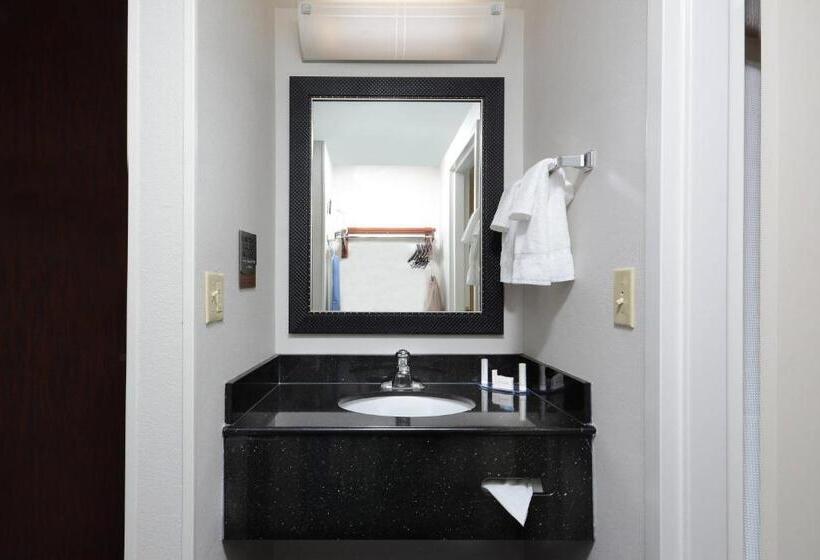 هتل Fairfield Inn & Suites By Marriott Charlottesville North
