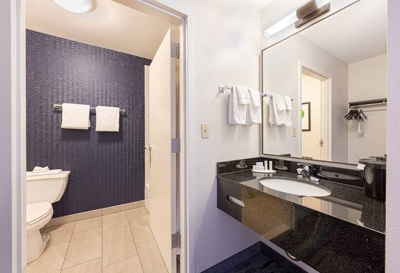בית מלון כפרי Fairfield Inn & Suites By Marriott Chicago Naperville