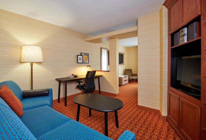 Отель Fairfield Inn & Suites Detroit Farmington Hills