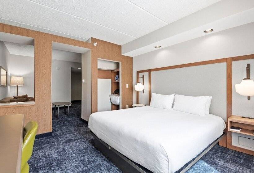 هتل Fairfield Inn & Suites By Marriott Hickory