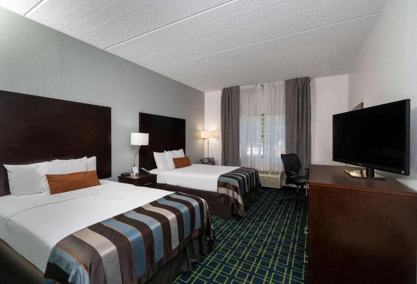 هتل Wingate By Wyndham Fletcher At Asheville Airport