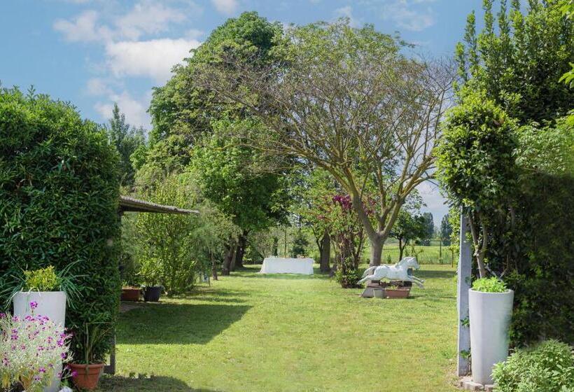 Pensjonat Balabuska Rooms & Garden