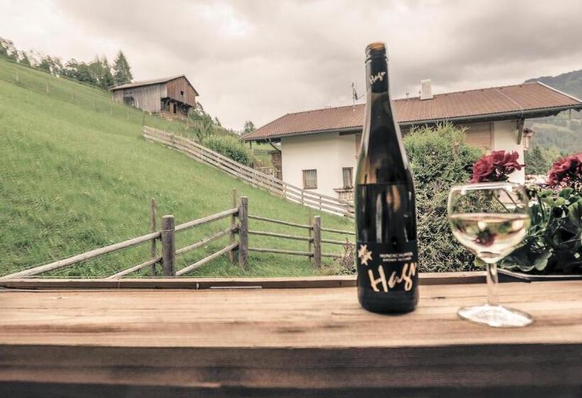 بنسيون Hottererhof