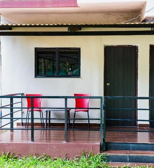 Pensió Lazy Frog Guest House