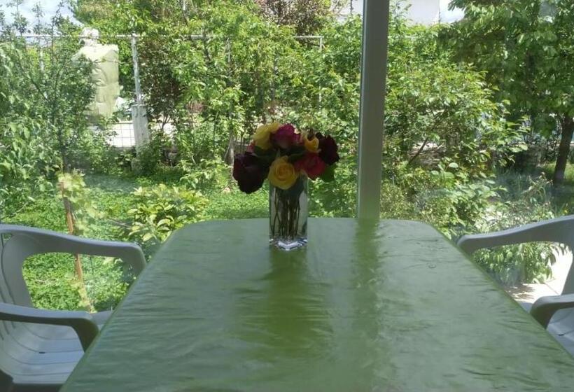 Pensión Residencial Playa Lisa