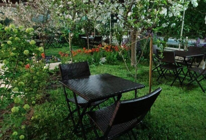 Pensión Residencial Playa Lisa