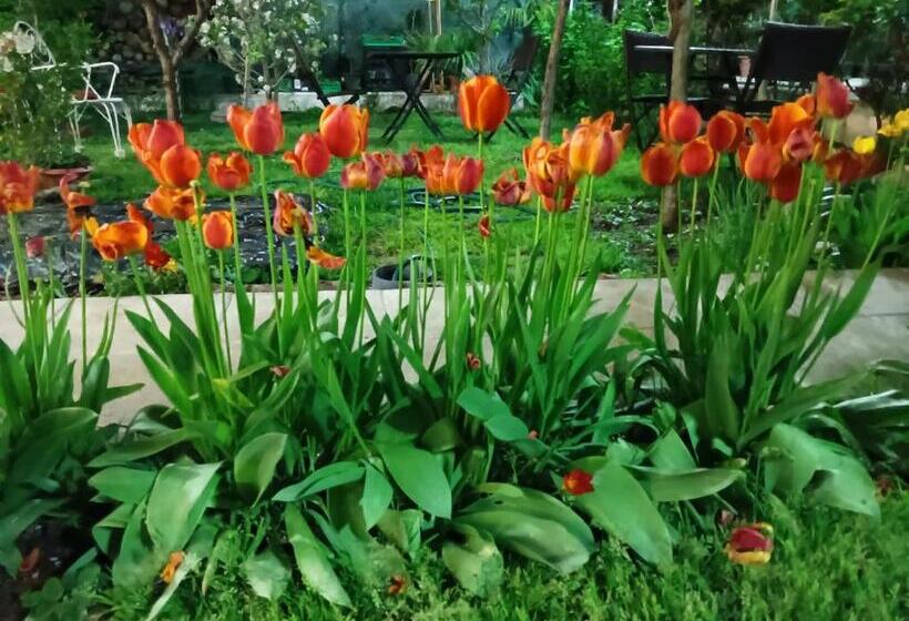 Pensión Residencial Playa Lisa