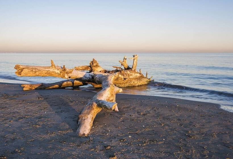 Отель Camping Horizon Bar