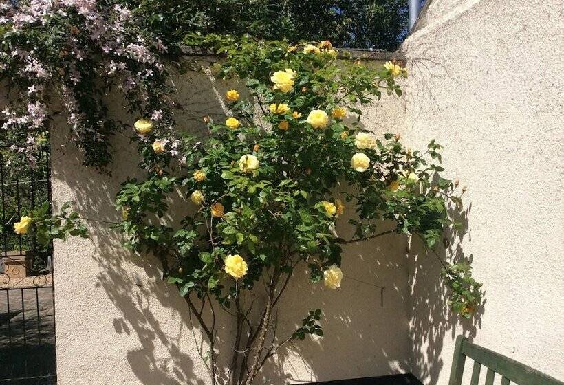 צימר Delamore House
