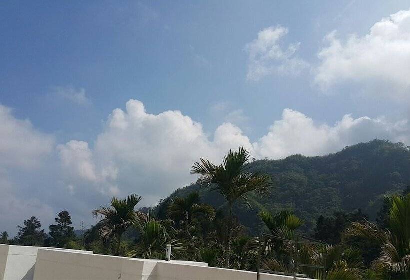 تختخواب و صبحانه Xitou Bi Xue Shan Lin Homestay