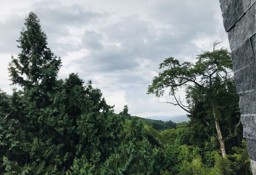 تختخواب و صبحانه Xitou Bi Xue Shan Lin Homestay