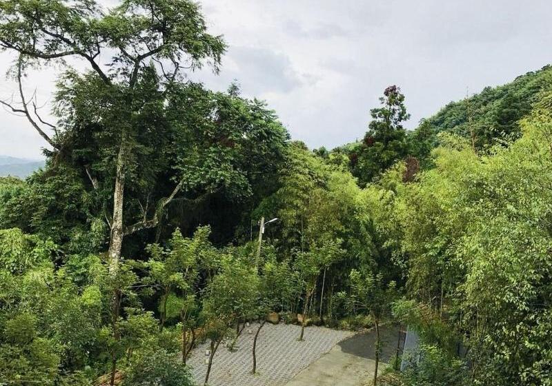 تختخواب و صبحانه Xitou Bi Xue Shan Lin Homestay