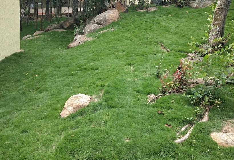 The Brook Resorts & Spa