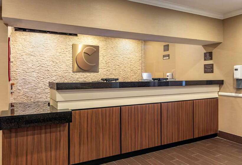 ホテル Comfort Inn & Suites North Dallasaddison
