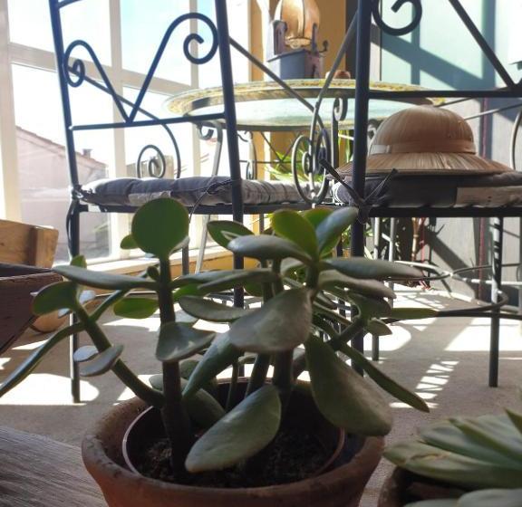 ペンション Hostal La Horra