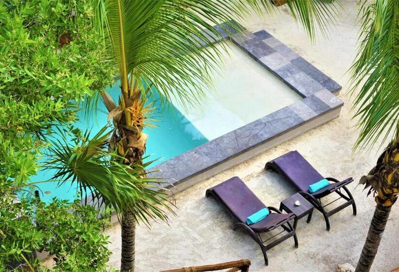 هتل La Puerta Azul Beachfront  Adults Only